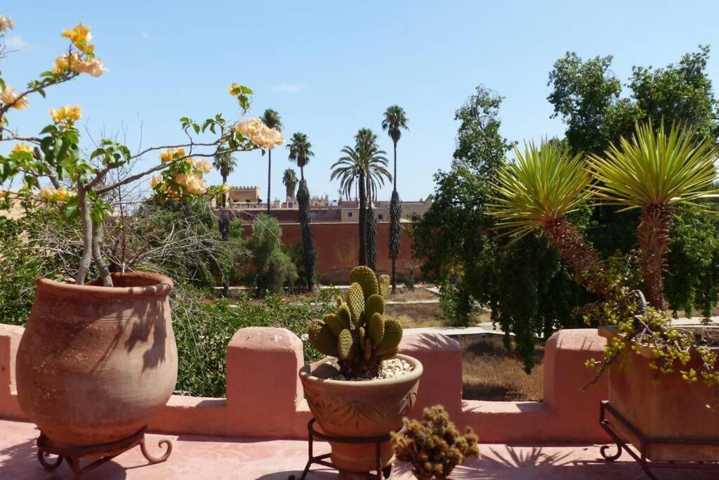 Emplacement N°1 ! Riad Ica Villa Marrakesh Buitenkant foto